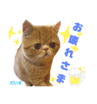 だいずの日常2（個別スタンプ：13）