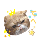 だいずの日常2（個別スタンプ：16）