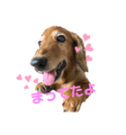 candy stamp19（個別スタンプ：3）