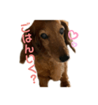 candy stamp19（個別スタンプ：4）