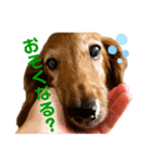 candy stamp19（個別スタンプ：6）