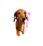 candy stamp19（個別スタンプ：7）