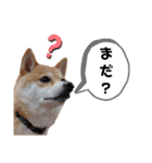 こうたくん4（個別スタンプ：14）
