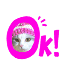pinoのスタンプです！！！（個別スタンプ：5）