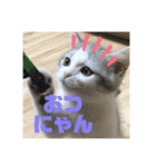 pinoのスタンプです！！！（個別スタンプ：8）