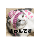 pinoのスタンプです！！！（個別スタンプ：11）