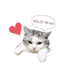 pinoのスタンプです！！！（個別スタンプ：12）