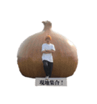 日常で使えるあずま語録4（個別スタンプ：5）