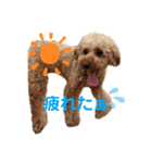 フィコ＆かえで（個別スタンプ：11）