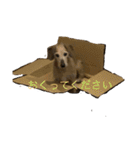 hanakohanakohanako（個別スタンプ：7）