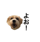 ジャック太郎（個別スタンプ：1）