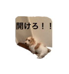 ジャック太郎（個別スタンプ：8）