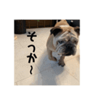 おすたぐらむ（個別スタンプ：17）