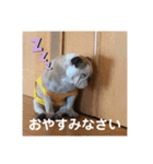 おすたぐらむ（個別スタンプ：23）