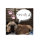 おすたぐらむ（個別スタンプ：28）