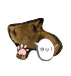 可愛いヤモリーズ（個別スタンプ：7）