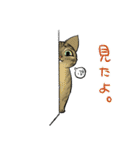 猫ちゃんブラザーズの日常（個別スタンプ：20）