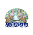 ありがとう鳥さんたち（個別スタンプ：7）