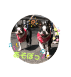 レイちいスタンプ②（個別スタンプ：1）