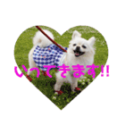BIBIchandayo.（個別スタンプ：5）