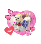 BIBIchandayo.（個別スタンプ：7）