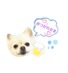 BIBIchandayo.（個別スタンプ：8）