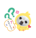 BIBIchandayo.（個別スタンプ：11）