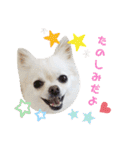 BIBIchandayo.（個別スタンプ：12）