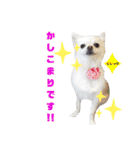 BIBIchandayo.（個別スタンプ：14）