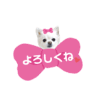 BIBIchandayo.（個別スタンプ：15）