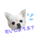 BIBIchandayo.（個別スタンプ：16）