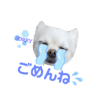 BIBIchandayo.（個別スタンプ：23）
