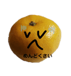 いろいろミカン（個別スタンプ：15）