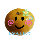 いろいろミカン（個別スタンプ：23）