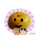 いろいろミカン（個別スタンプ：30）