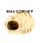 いろいろミカン（個別スタンプ：38）