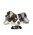 アランの毎日（個別スタンプ：3）