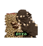 アランの毎日（個別スタンプ：8）