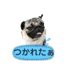いっちゃんちのカンタくん（個別スタンプ：1）