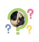 いっちゃんちのカンタくん（個別スタンプ：4）