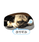 いっちゃんちのカンタくん（個別スタンプ：6）
