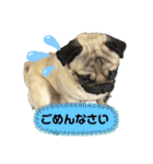 いっちゃんちのカンタくん（個別スタンプ：17）