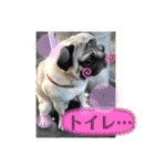 いっちゃんちのカンタくん（個別スタンプ：19）