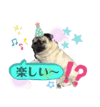 いっちゃんちのカンタくん（個別スタンプ：20）