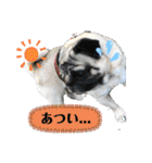 いっちゃんちのカンタくん（個別スタンプ：21）
