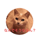 楽しい日常デス（個別スタンプ：1）