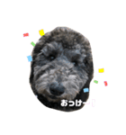 スタンプーぐり（個別スタンプ：3）