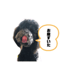 スタンプーぐり（個別スタンプ：13）
