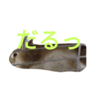 りさちゃんスタンプ！（個別スタンプ：15）