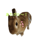りさちゃんスタンプ！（個別スタンプ：21）